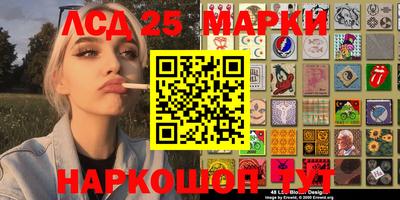 гидропоника Кингисепп