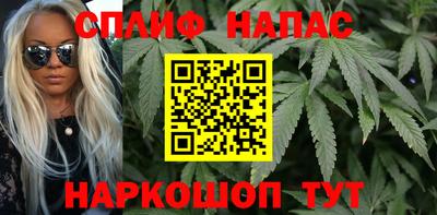 дмт Кинель