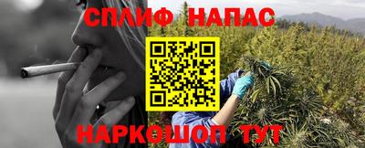гидропоника Кингисепп