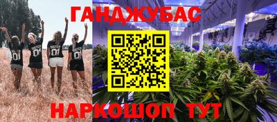 гидропоника Кингисепп