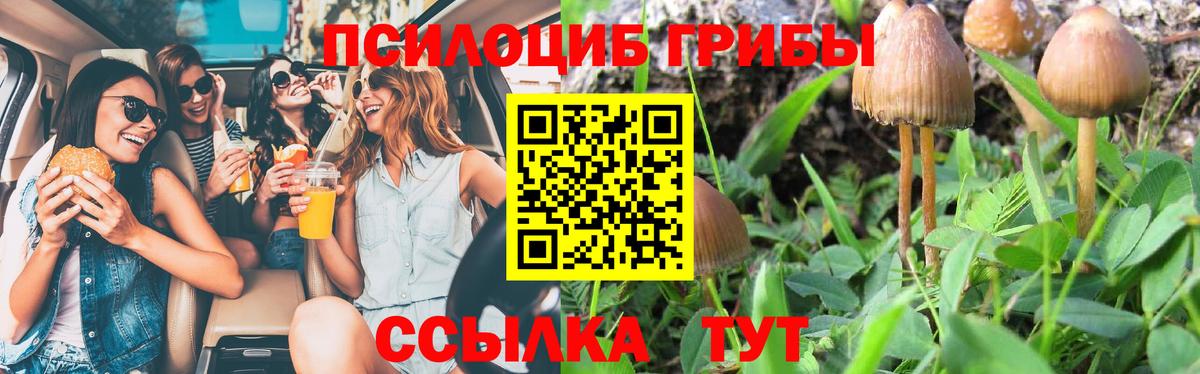 Галлюциногенные грибы Psilocybe Куйбышев