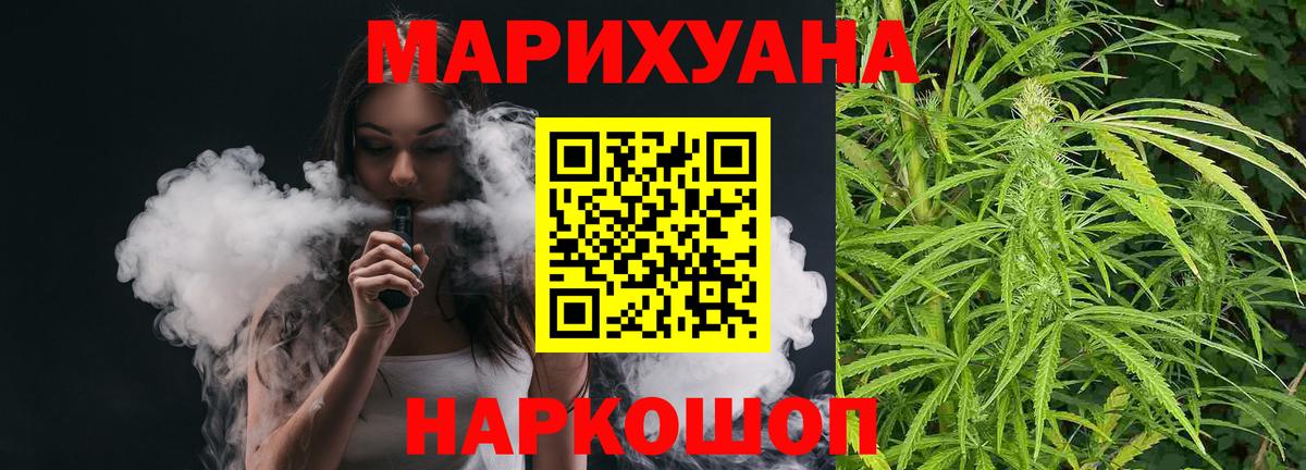 Конопля гибрид Куйбышев